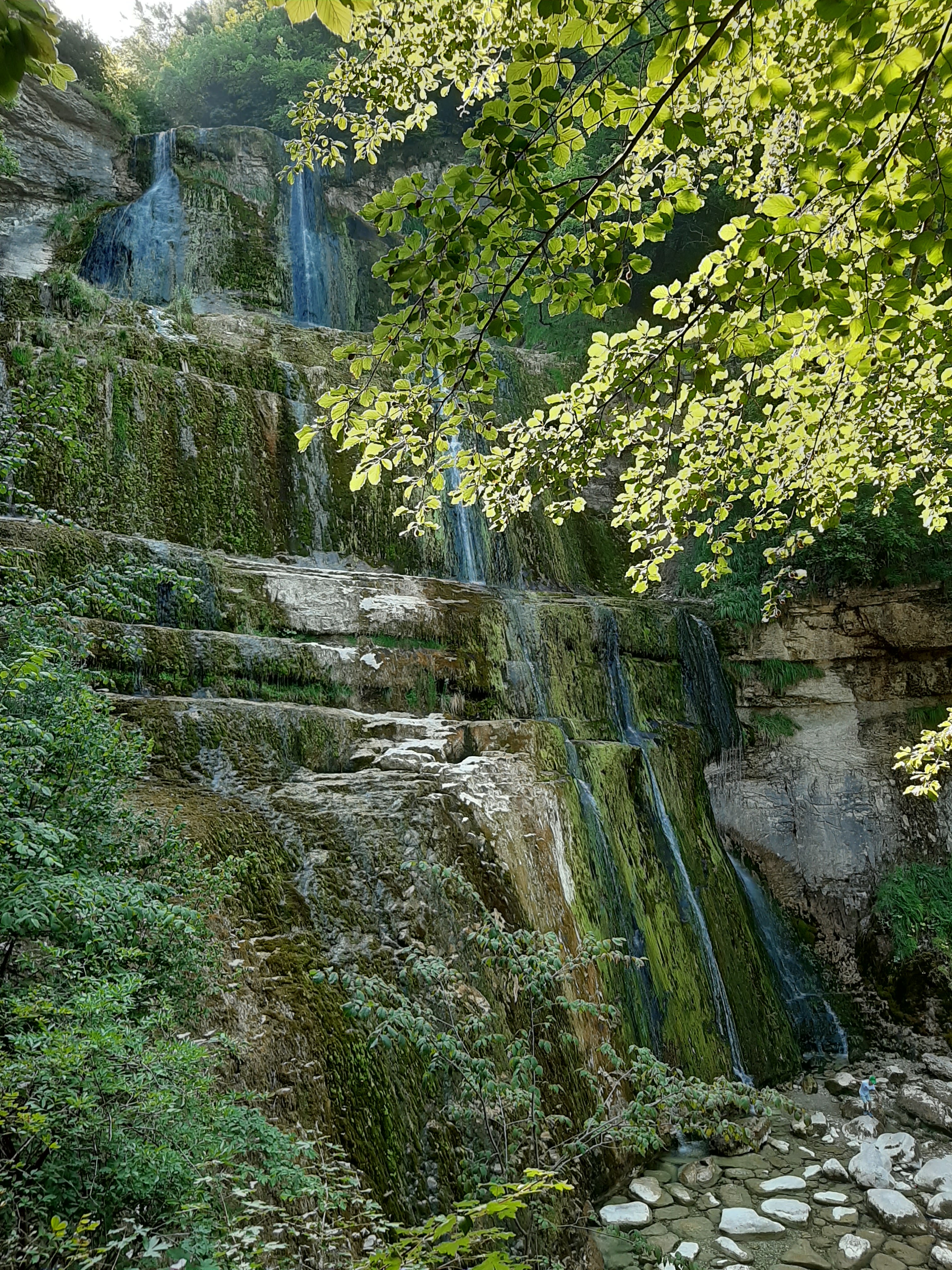 Photo n° 1 de l'avis de Ulderica.e fait le 29/07/2020 à 06:50