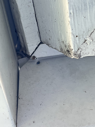 Roofing Contractor «Roof Smart of SW Florida Inc», reviews and photos, 1345 Old Pondella Rd, Cape Coral, FL 33909, USA