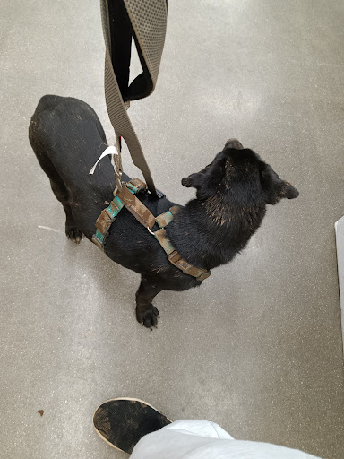 Pet Supply Store «IncrediPet», reviews and photos, 306 Southland Dr, Lexington, KY 40503, USA