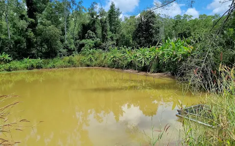 Hymavathy Pond image