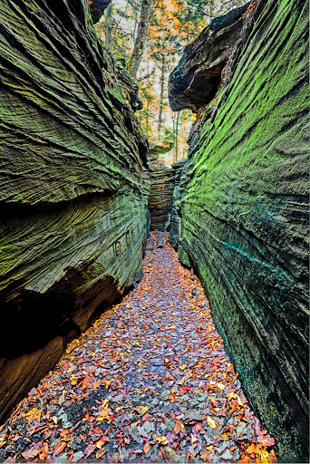 Art Gallery «The Paul Duda Gallery (Tremont)», reviews and photos, 2342 Professor Ave, Cleveland, OH 44113, USA