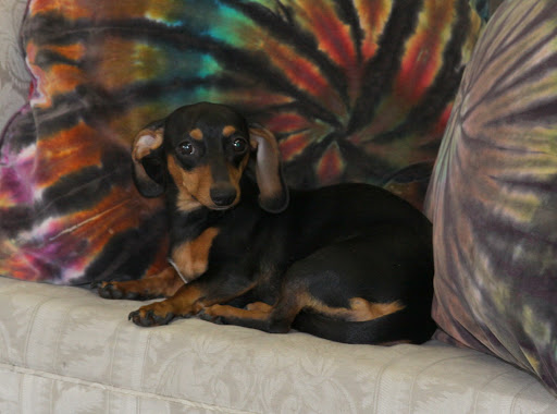 Boutique «Marketplace on Broadway», reviews and photos, 20 SW Broadway St #2, Ocala, FL 34471, USA