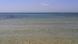 Photo de Andrea beach zone sauvage