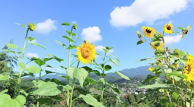 千村配水場