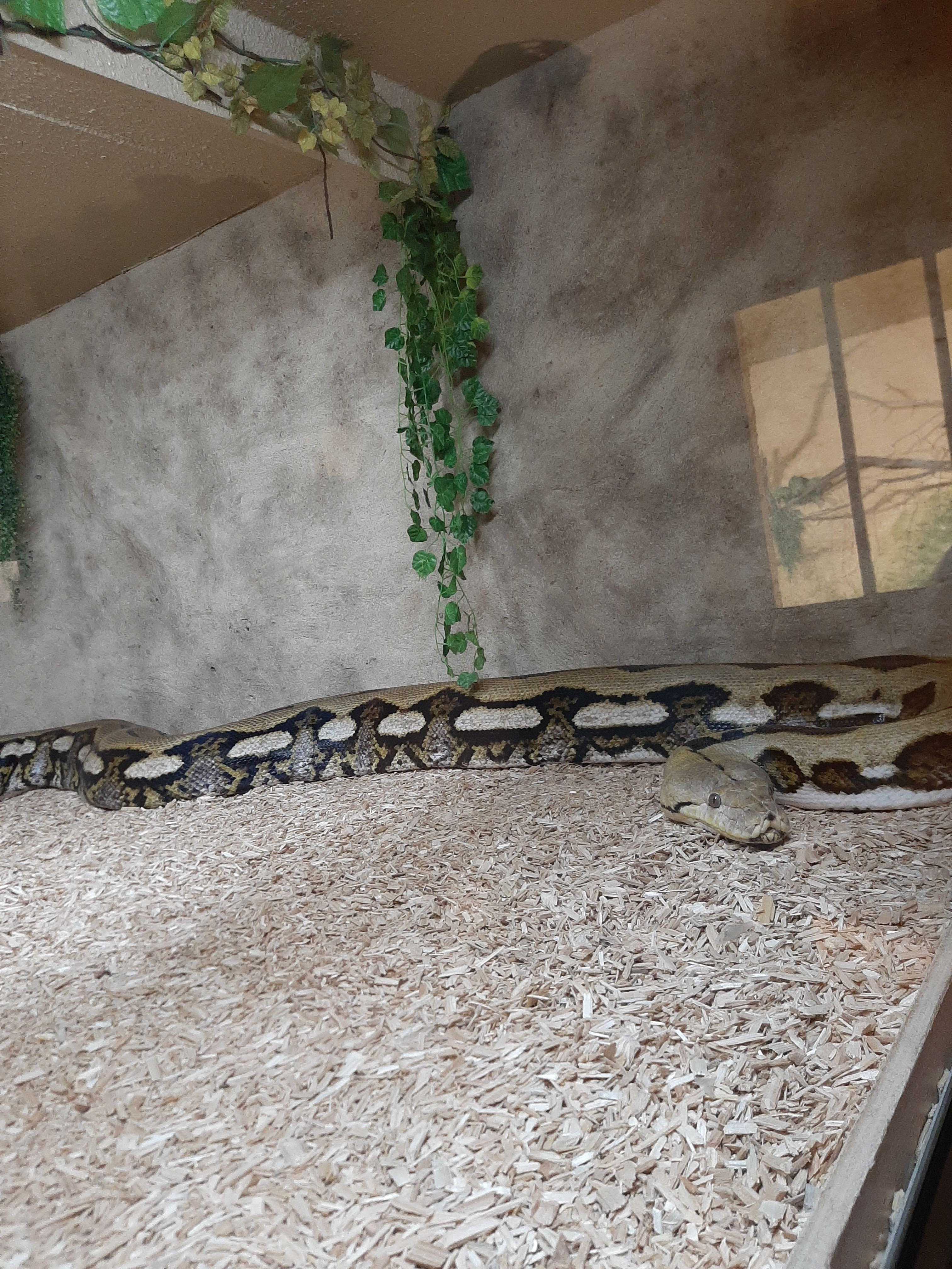 Photo n° 1 de l'avis de Pauline.a fait le 26/08/2022 à 18:15