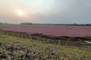 Pink Flower Land image