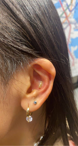 Explore tattoo ideas for family tree, creative tattoo ideas in Boston, available at Arcadia Body Piercing