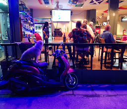 tip top bar photo