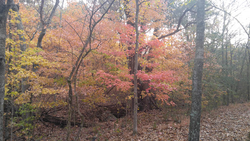 Park «Barfield Crescent Park», reviews and photos, 697 Veterans Pkwy, Murfreesboro, TN 37128, USA