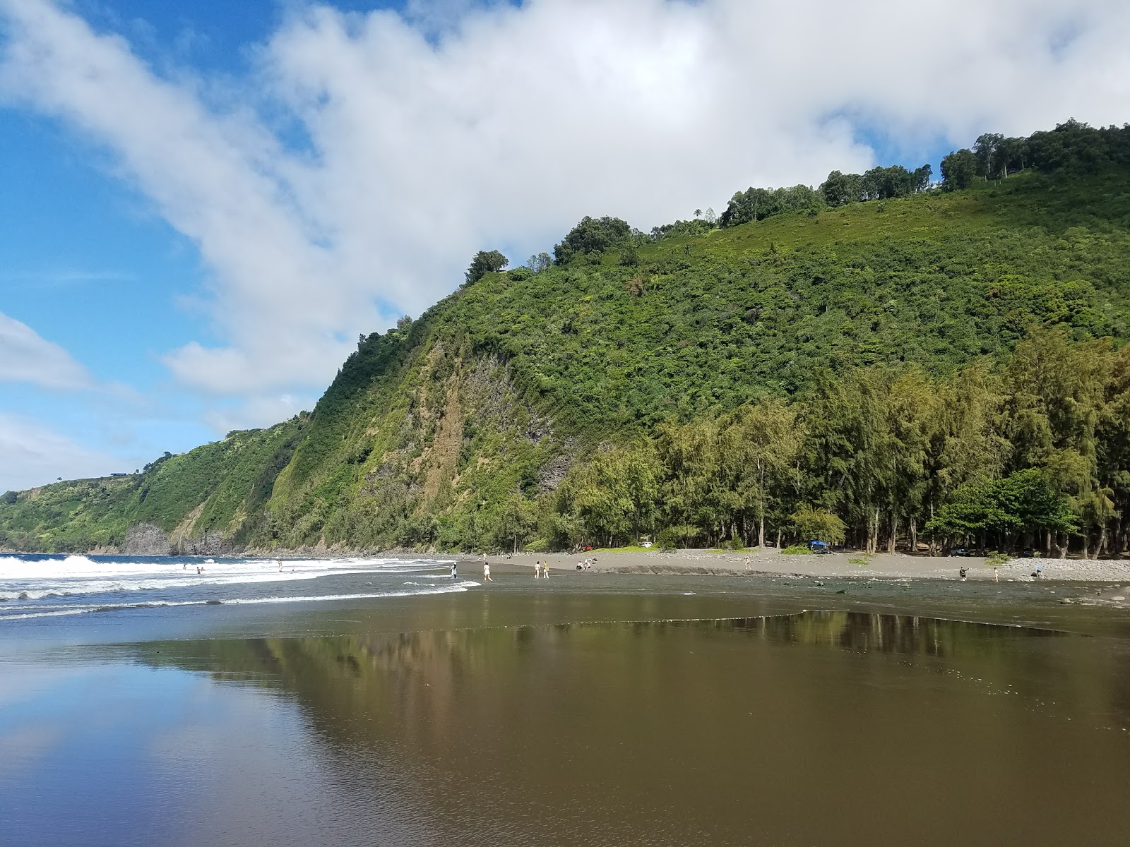 Waipi'o Black Sand Beach'in fotoğrafı düz ve uzun ile birlikte