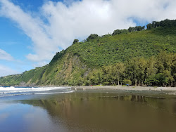 Waipi'o Black Sand Beach'in fotoğrafı düz ve uzun ile birlikte