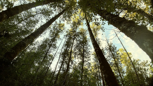 Park «Barton Park», reviews and photos, 19009 SE Barton Park Rd, Boring, OR 97009, USA