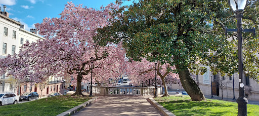 Art Museum «The Walters Art Museum», reviews and photos, 600 N Charles St, Baltimore, MD 21201, USA