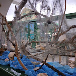 Photo n°1 de l'avis de Andrea.i fait le 01/10/2020 à 07:41 sur le  Il Gambero à Pontedera