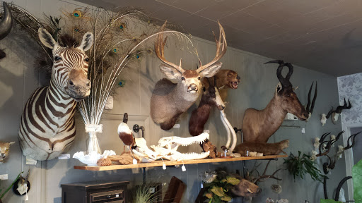 Gift Shop «Natural Selection», reviews and photos, 39 St Lawrence Ave, Reno, NV 89509, USA
