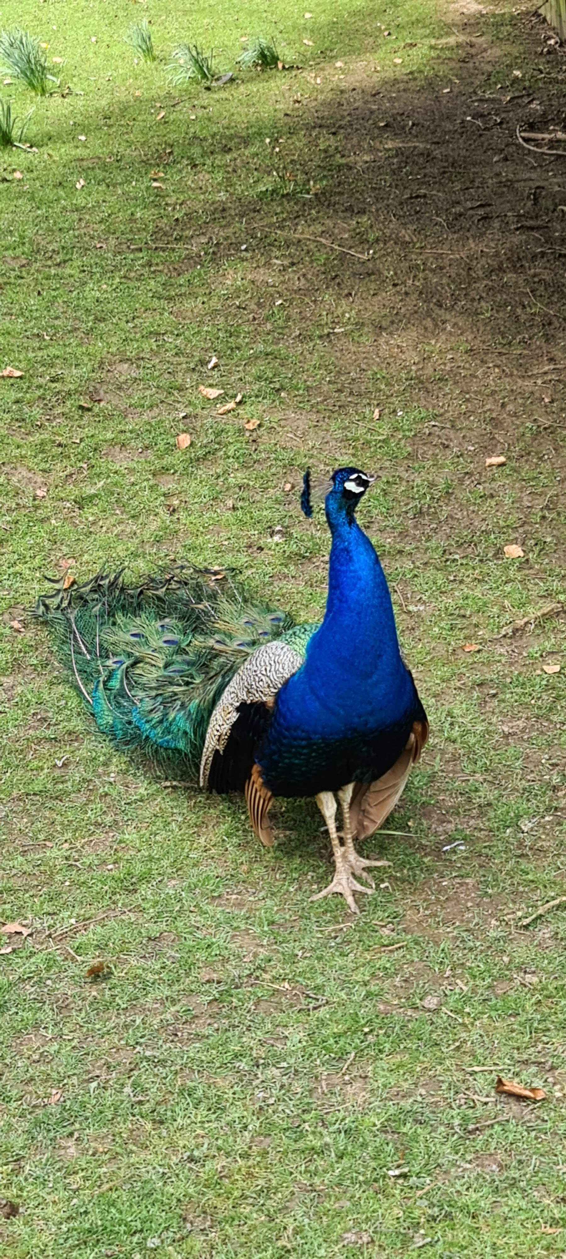 Photo n° 3 de l'avis de RENE.E fait le 14/04/2022 à 17:15