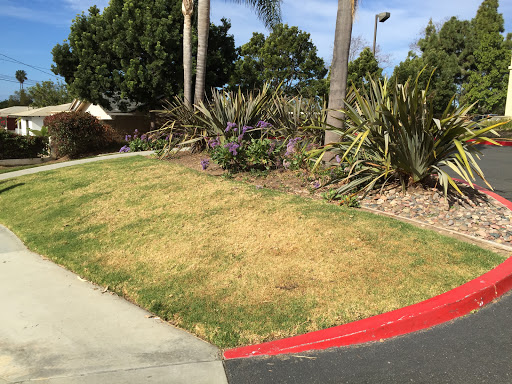 Landscaping courses in San Diego