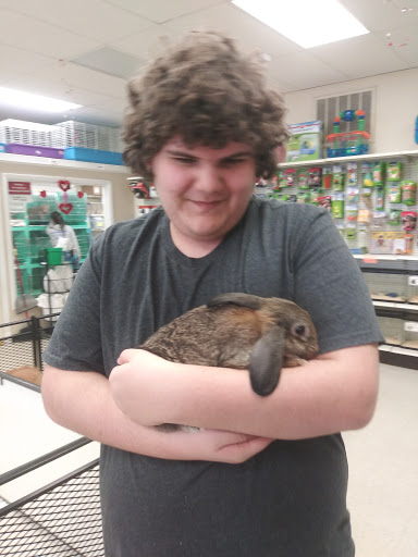 Pet Supply Store «Pet Palace Inc», reviews and photos, 253 Scranton Carbondale Hwy, Scranton, PA 18508, USA