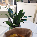 Photo n°1 de l'avis de Paolo.o fait le 21/02/2022 à 15:13 sur le  Restaurant Adriatico 2.0 à Rimini