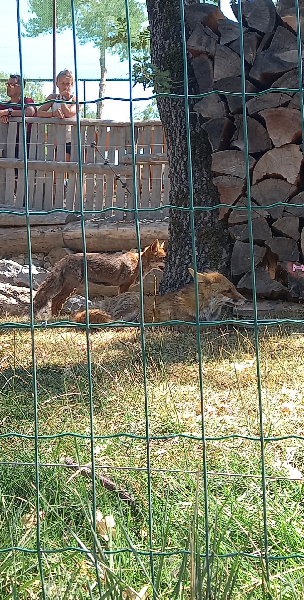 Photo n° 1 de l'avis de Gwendoline.r fait le 13/08/2022 à 20:08