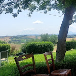 Photo n°13 de l'avis de Lorenzo.o fait le 18/06/2023 à 21:13 sur le  La fetuseria à Senigallia