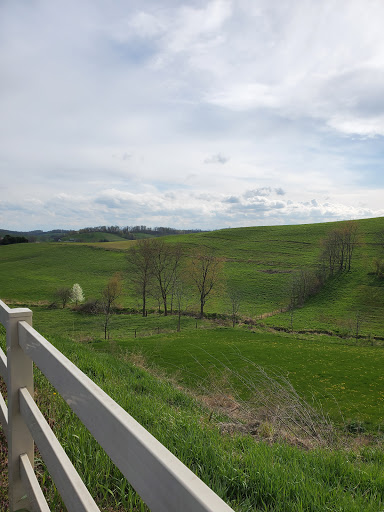 Coffee Shop «New Grounds Cafe», reviews and photos, 2804 OH-39, Walnut Creek, OH 44687, USA