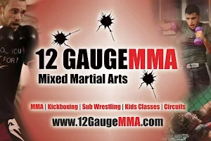 12 Gauge MMA image