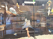 PetSmart - Photo 7 - Car repair in Chico, CA, Chico