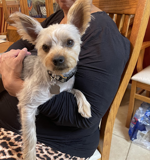 Pet Supply Store «Petco Animal Supplies», reviews and photos, 1215-1309 NJ-33 #1, Hamilton Township, NJ 08690, USA