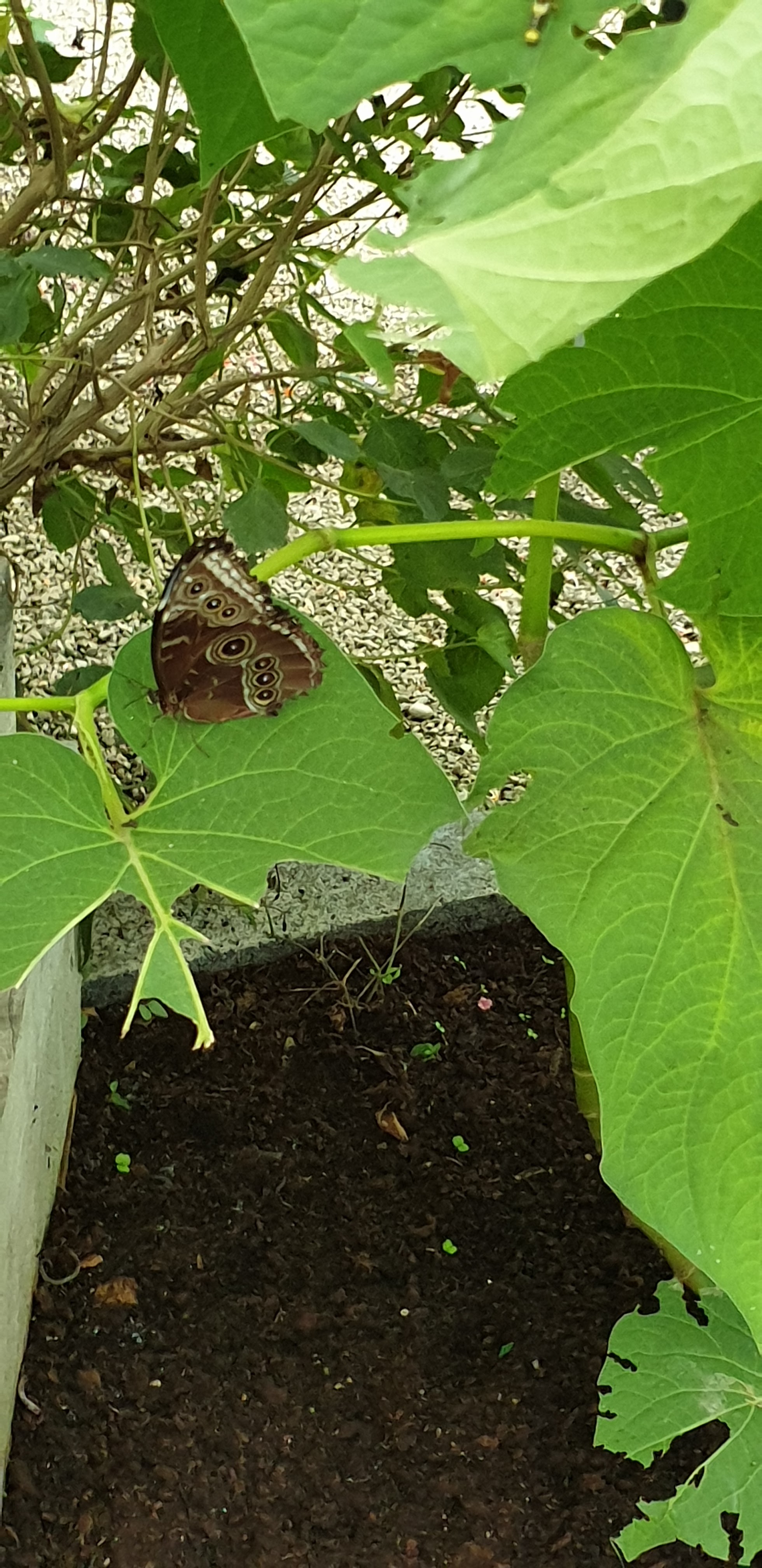 Photo n° 11 de l'avis de Severine.o fait le 30/07/2019 à 11:31