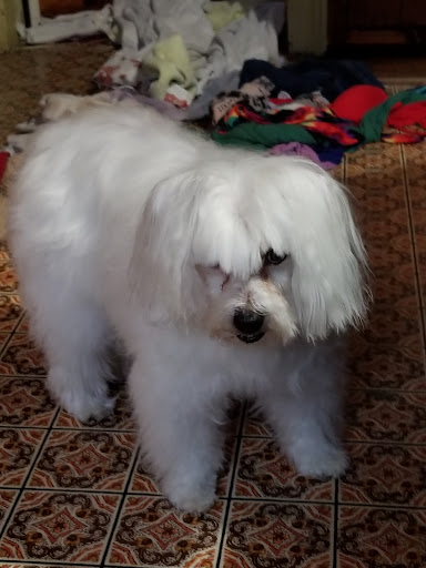 Pet Supply Store «PetSmart», reviews and photos, 5 Hampton House Rd, Newton, NJ 07860, USA