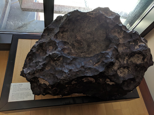 Museum «Beneski Museum of Natural History», reviews and photos, 11 Barrett Hill Rd, Amherst, MA 01002, USA