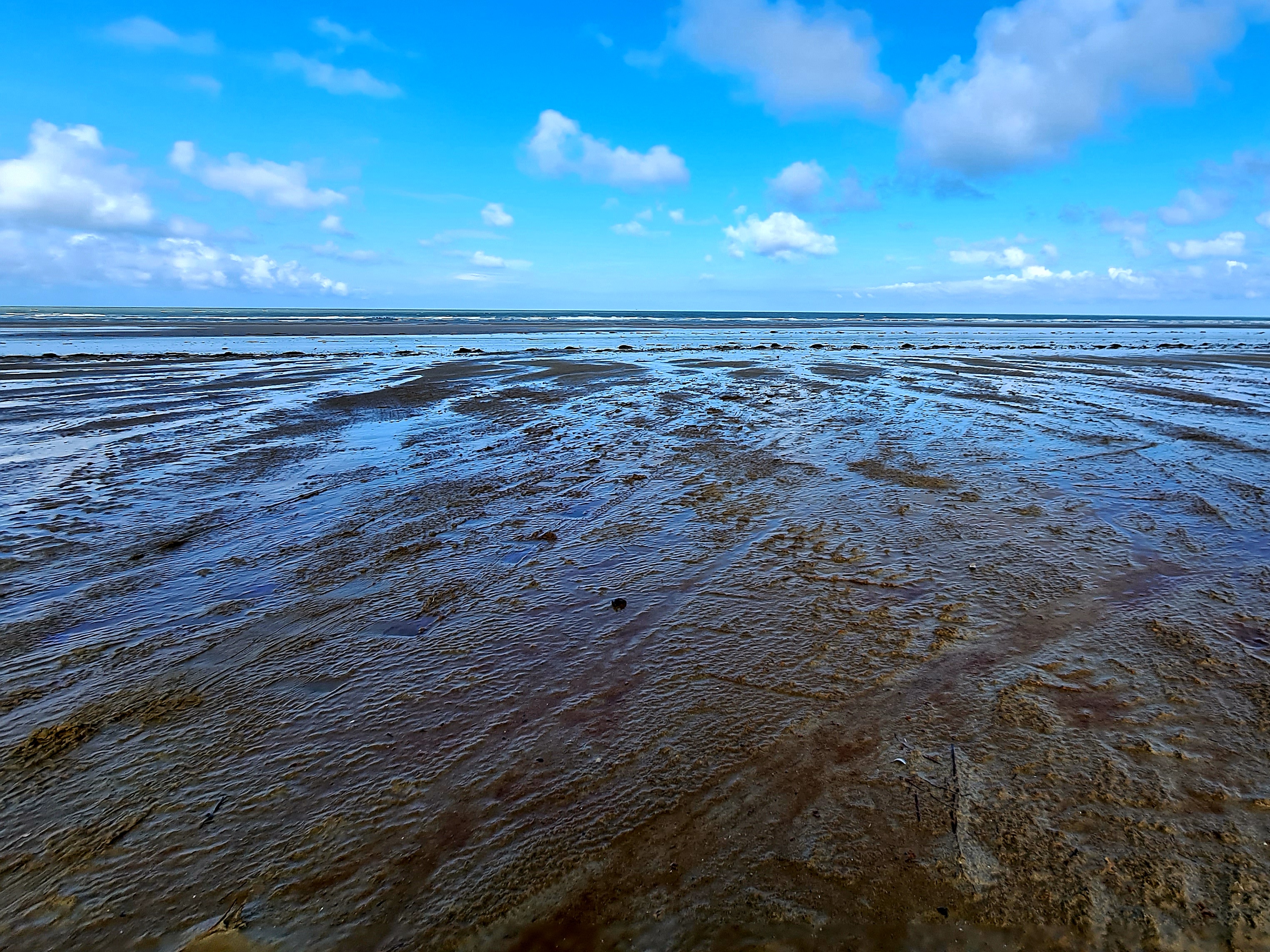 Photo n° 4 de l'avis de Pierre.e fait le 31/07/2021 à 10:26
