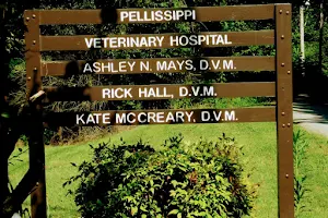 Pellissippi Veterinary Hospital image