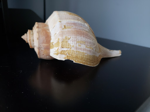 Explore lfc tattoo ideas, creative tattoo ideas in Keansburg, available at Attractive Tattoo New Jersey Body Jewelry Outlet