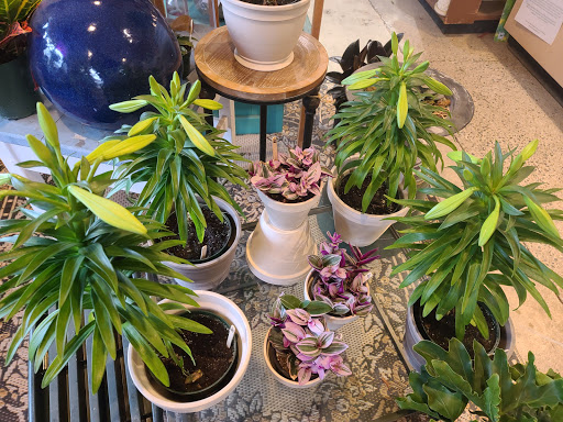 Garden Center «Victoria Gardens», reviews and photos, 1 Cottekill Rd, Rosendale, NY 12472, USA