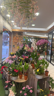 Les fleurs papillonnent à Le Pont-de-Beauvoisin