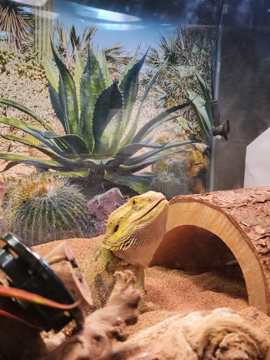 Pet Supply Store «PetSmart», reviews and photos, 700 Gallery Blvd b, Scarborough, ME 04074, USA