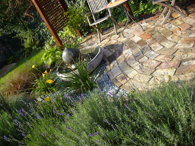 Comentarii opinii despre Gaben Garden Kft.