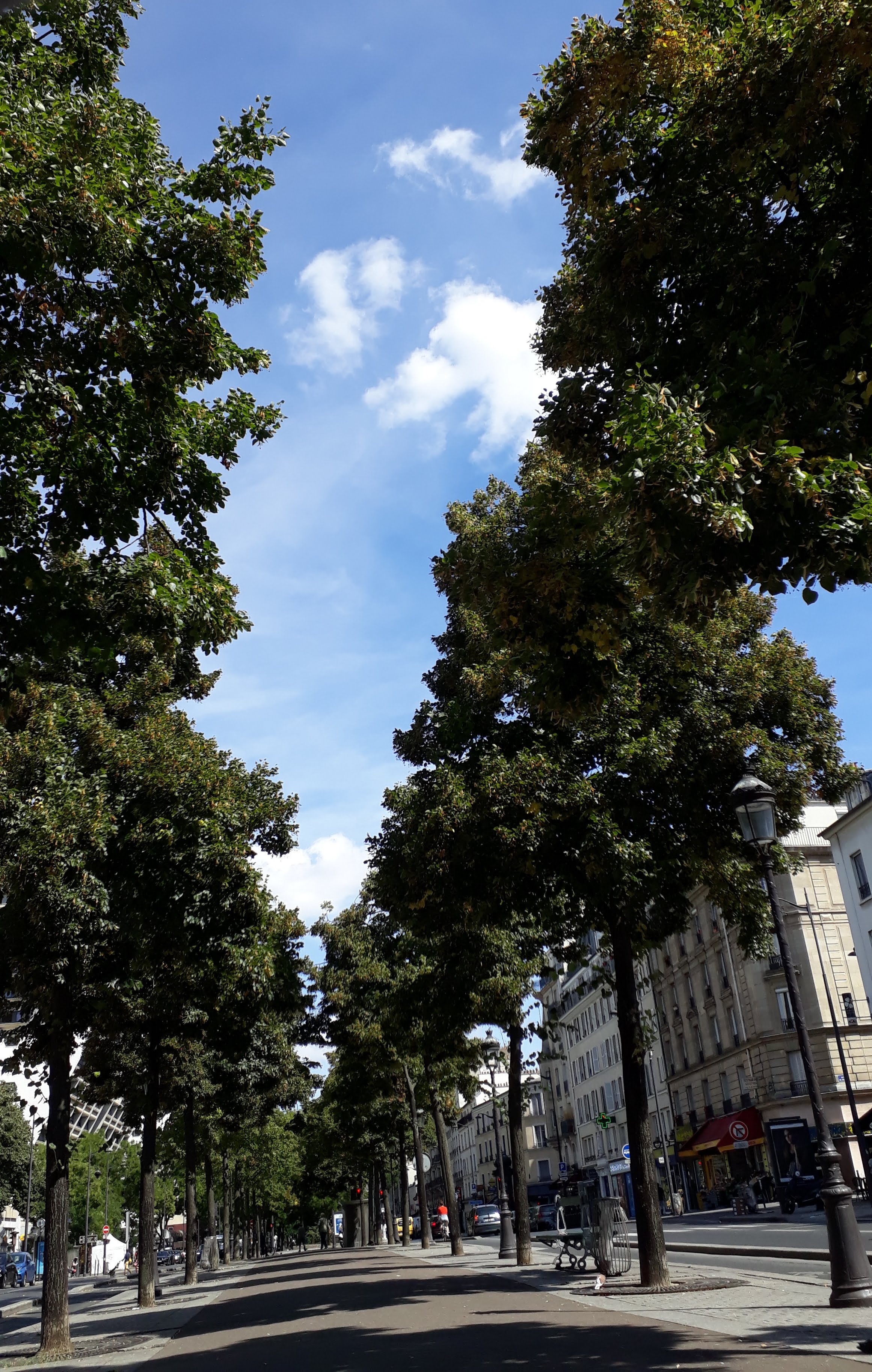 Photo n° 2 de l'avis de SAM.A fait le 13/09/2022 à 16:55