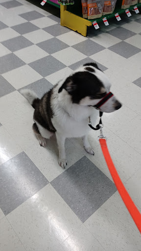 Pet Supply Store «Pet Supplies Plus», reviews and photos, 4100 Legacy Dr Suite 402, Plano, TX 75024, USA