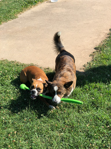 Park «ROGERS PARK», reviews and photos, 30 Rogers Park Ave, Boston, MA 02135, USA