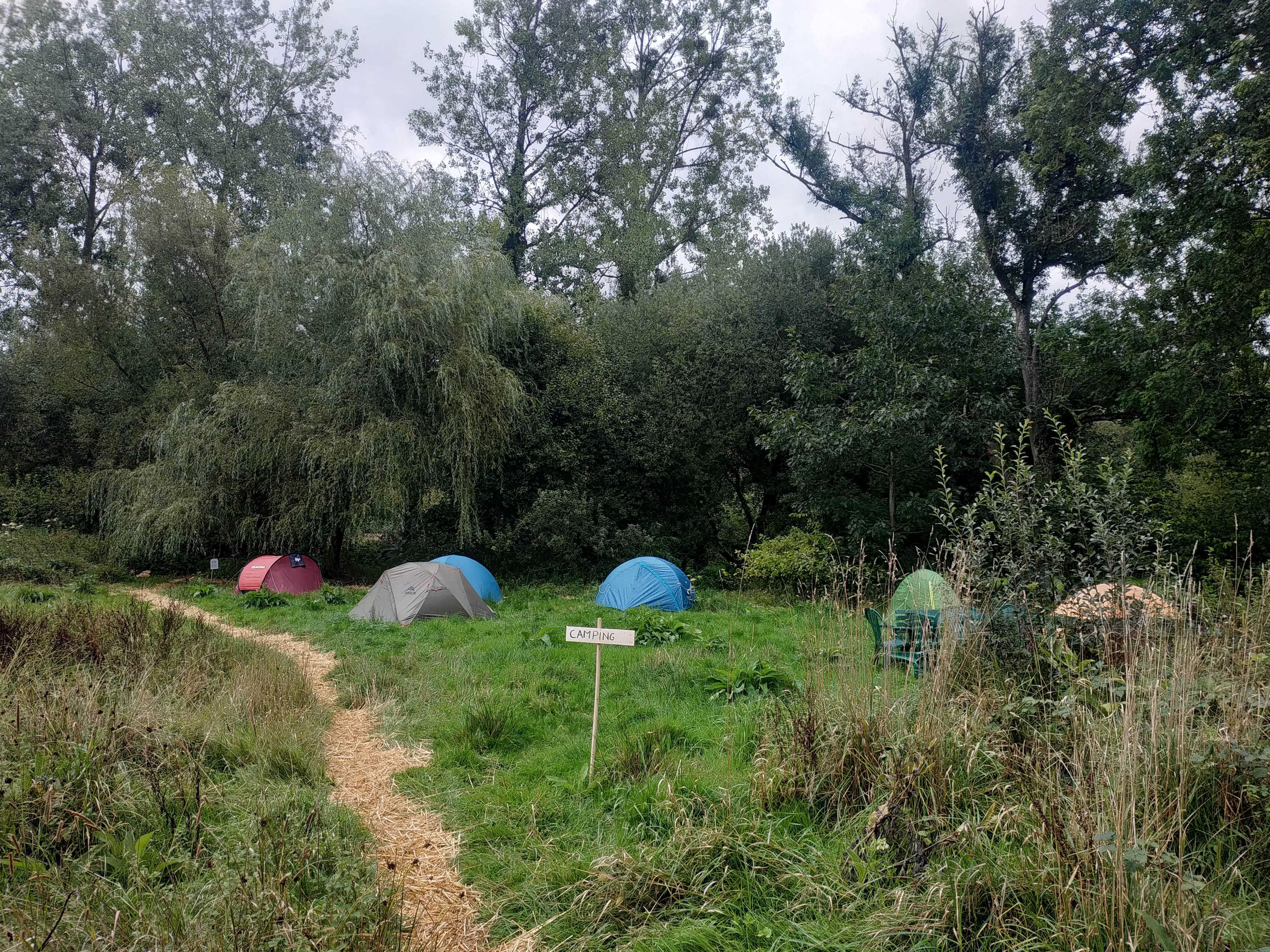 Photo n° 2 de l'avis de Alexis.o fait le 29/08/2020 à 19:56