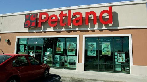 Pet Supply Store «Petland - Iowa City», reviews and photos, 1851 Lower Muscatine Rd, Iowa City, IA 52240, USA