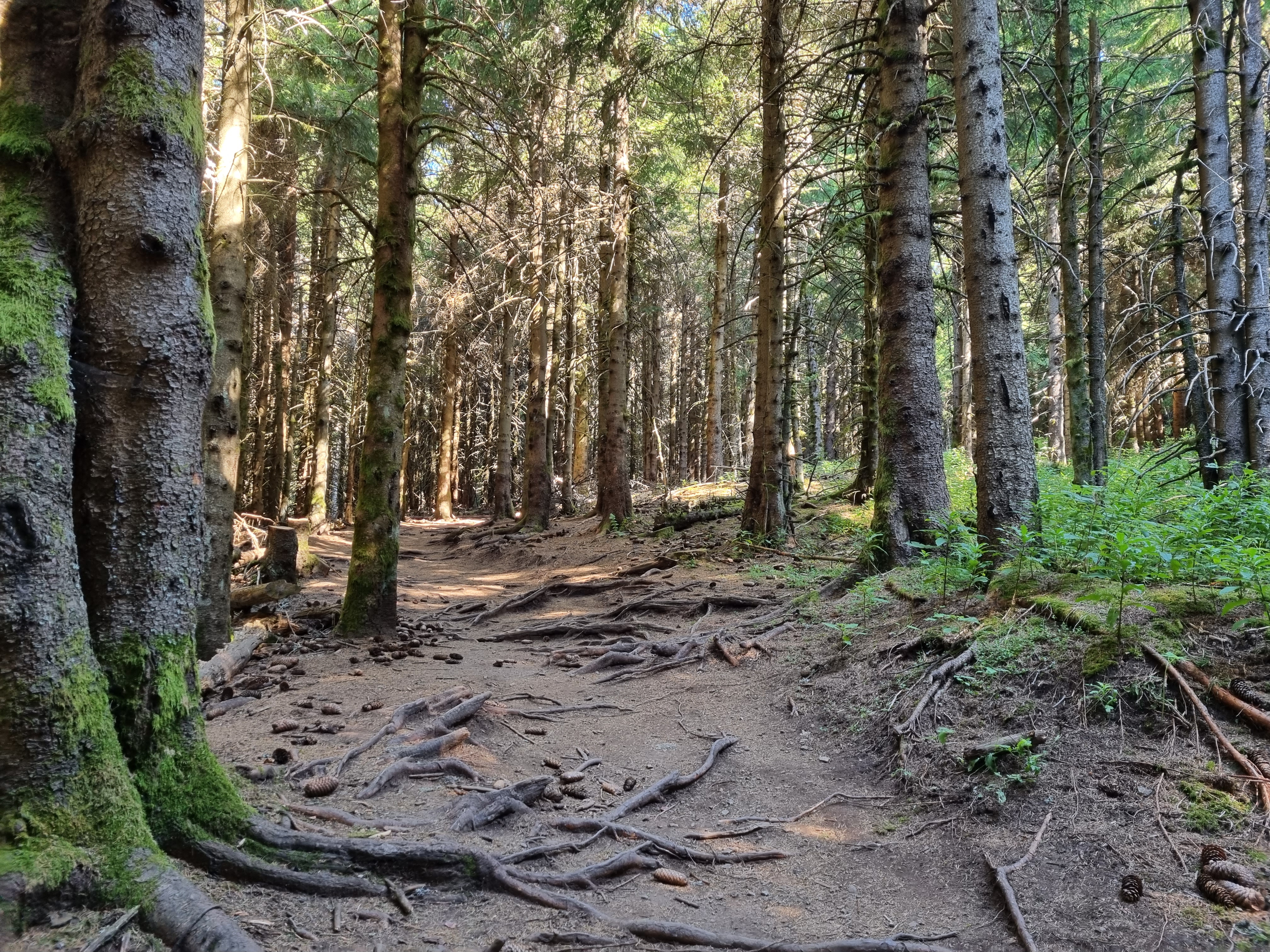 Photo n° 22 de l'avis de LD.R fait le 17/07/2022 à 16:33