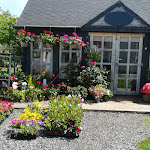 Photo n° 1 de l'avis de Agnes.o fait le 20/09/2023 à 18:18 pour L'atelier de Masha à Grossœuvre