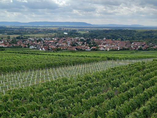 Aussichtsturm Sommerach Fränkische Weinberge