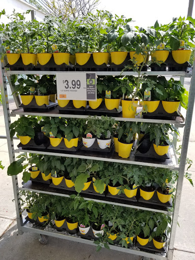 Supermarket «Stop & Shop», reviews and photos, 57-01 Sunrise Hwy, Holbrook, NY 11741, USA