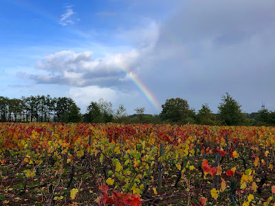 Domaine Hubert à Châteaumeillant