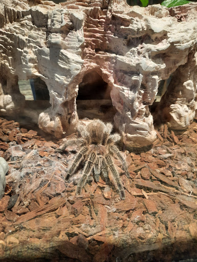 Science Museum «Science City», reviews and photos, 30 W Pershing Rd, Kansas City, MO 64108, USA